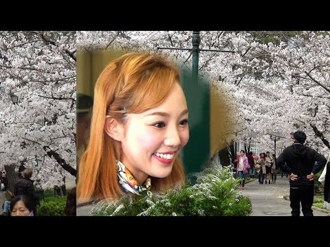 ゆうみちゃんとお花見気分?楽屋口迄おててつないで