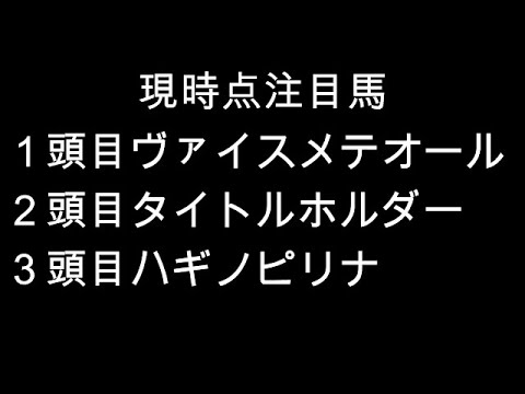 菊花賞2021一週前レース予想全頭診断 皐月賞馬もダービー馬も不在の菊花賞にて最後の一冠を取りに来たステラヴェローチェが悲願の戴冠か!? プロ馬券師集団『桜花』