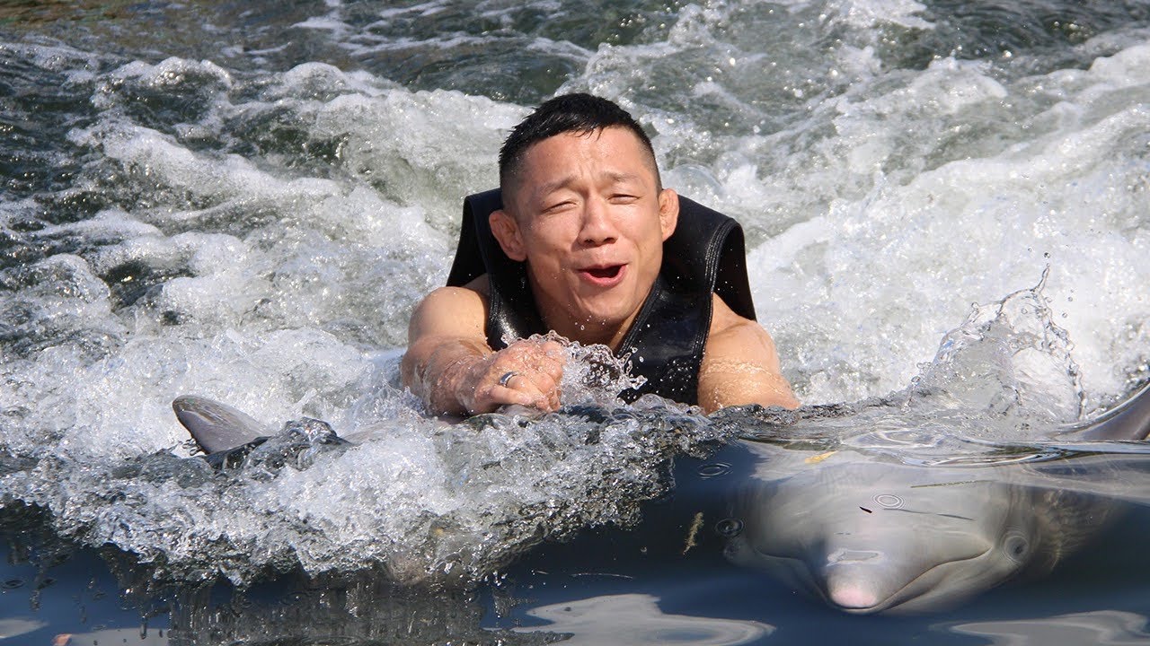 フロリダでイルカと泳いでみた