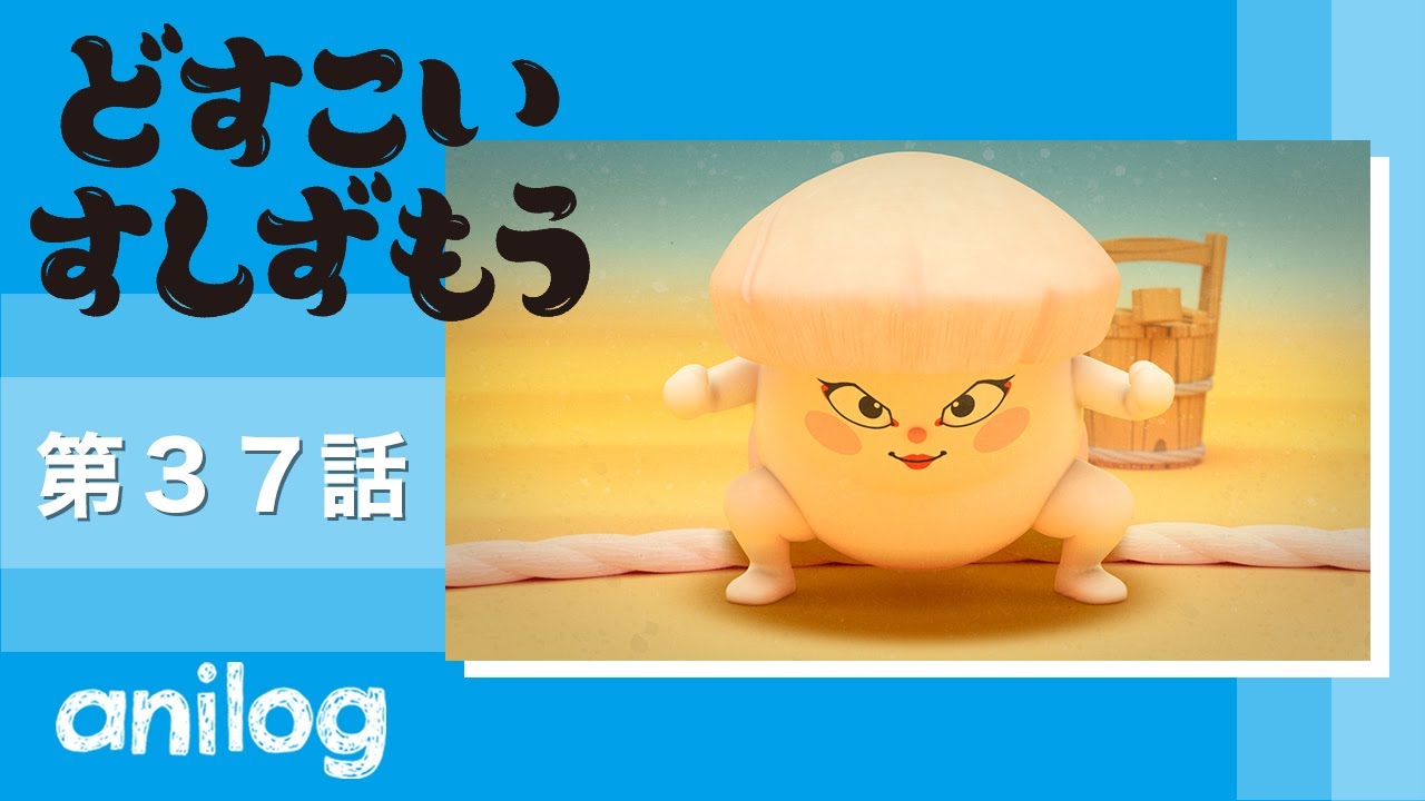 どすこいすしずもう 37番「いかのしん と ほったてのかい」【公式アニメch アニメログ】
