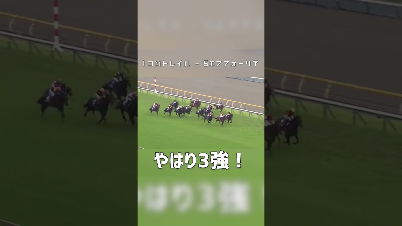 天皇賞(秋)での悲劇