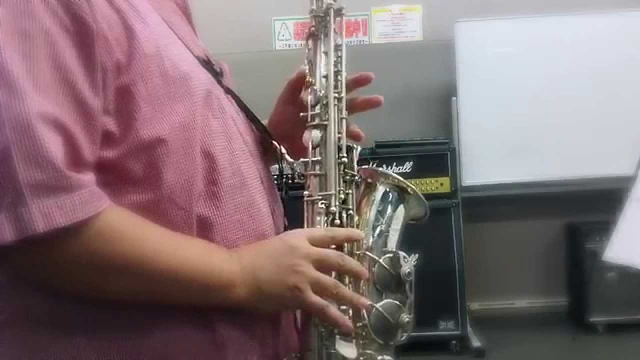 Schumann / Dichterliebe 「美しい五月に」シューマン"詩人の恋"