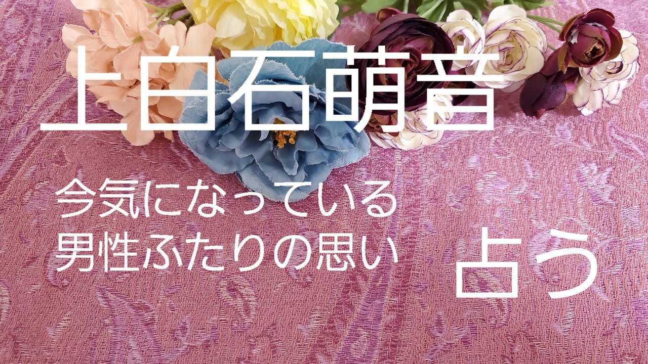 【占い】上白石萌音、今気になっている男性ふたりの思いをタロットでみた