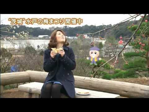 磯山さやかの旬刊!いばらき『水戸の梅まつり②24年3月9日放送』