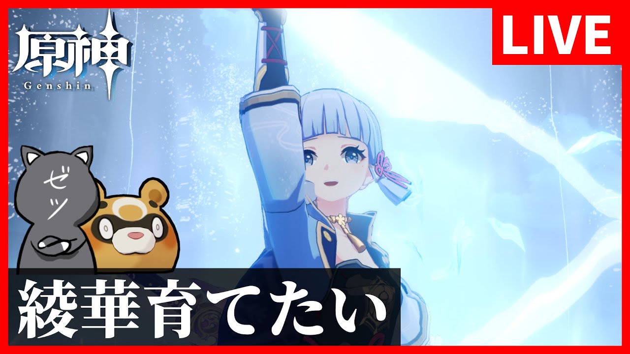 【原神】厳選してる場合じゃねえ!そろそろ神里綾華とか他のキャラ育成していきます!【GenshinImpact】