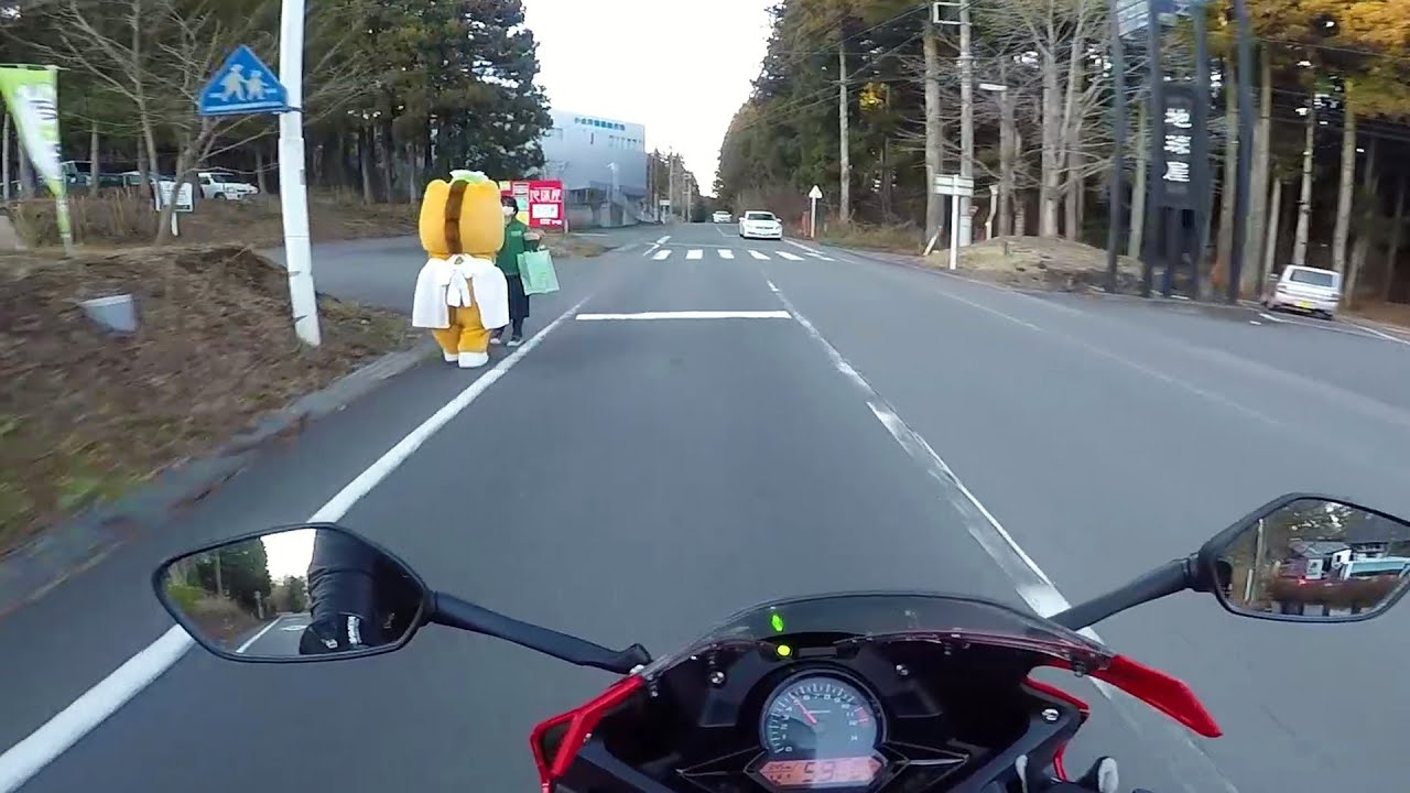 野生のぐんまちゃん【野生動物まとめ】