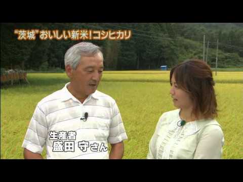 磯山さやかの旬刊!いばらき『茨城のお米』(24年10月12日放送)