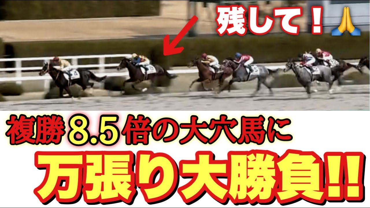 穴馬の複勝で大勝負したら、1.1倍の馬が飛んでオッズ爆跳ね!?逃げ馬しか勝たん!!
