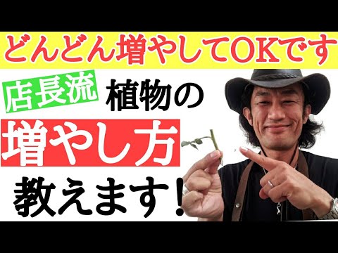 「プロでもやる!」ビッグな園芸店 店長が植物の増やし方を教えます! ご自宅の植物がどんどん増える 挿し芽 ·挿し木の方法を分かりやすく実演します ガーデニングがめちゃくちゃ楽しくなる!