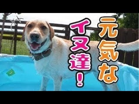 谷桃子、妄撮 for iPhone で遊ぶ