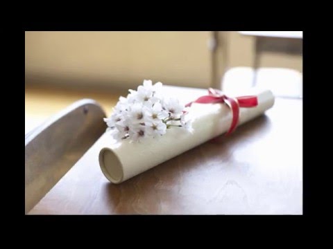 春なのに cover オリジナル/柏原芳恵