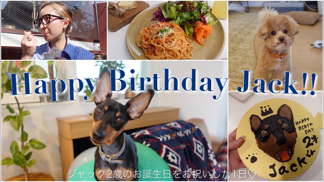 愛犬の2歳の誕生日を沢山お祝いした1日Vlog♡