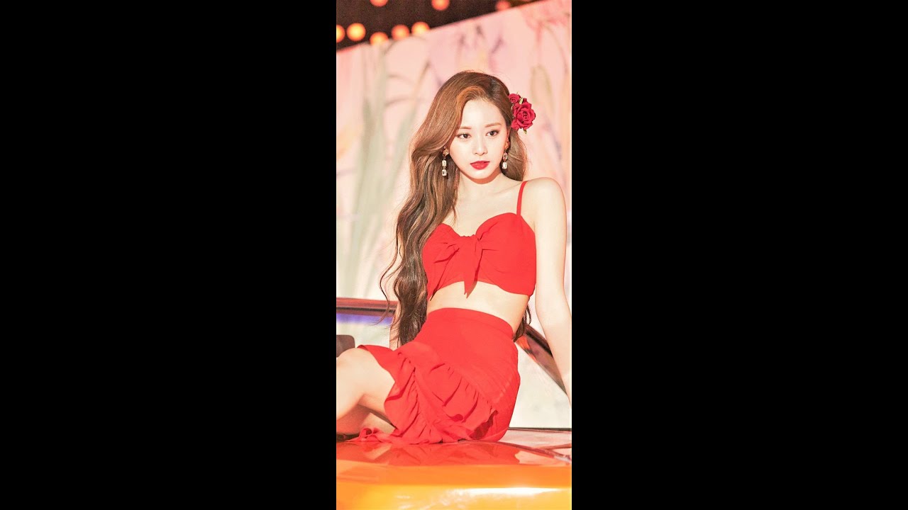 twice tzuyu best pictures with her pets Butter & Kaya 😍😍 #kpopkdramastudio #kpopedit #shorts