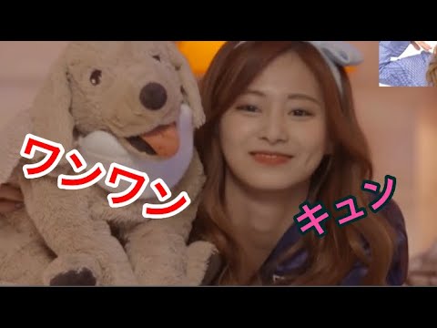 🐕ツウィ🐕犬の鳴き声の真似がかわいすぎる!💓