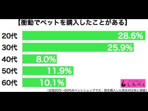 石田ゆり子、2匹の保護猫を家族の一員に 子猫が保護された理由に「人間のエゴ」と嘆きも