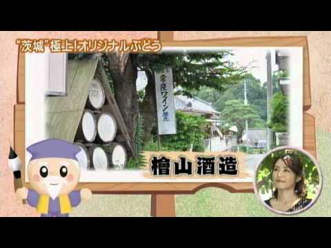 磯山さやかの旬刊!いばらき『ぶどう』(平成23年9月2日放送)