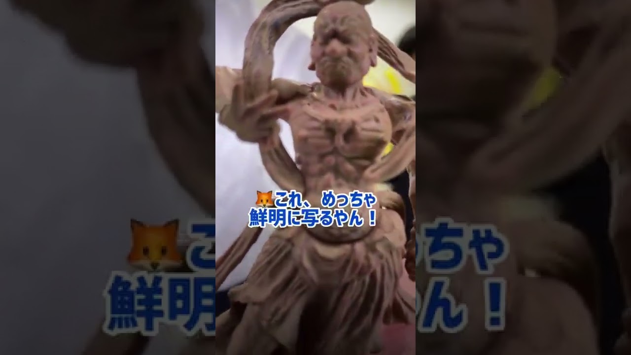 ファミリー感の強いJO1の長男次男三男の会話 #JO1 🌺長男 #與那城奨 🦊次男 #川尻蓮 👑三男 #白岩瑠姫 #豆原一成