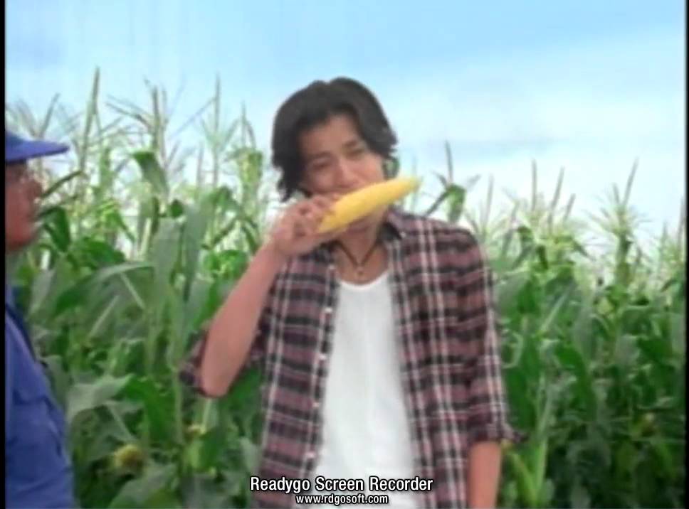 【長澤まさみ】クノールカップスープ【小栗旬】