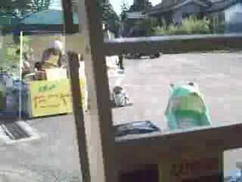 和来市に出店した「旅カフェ.com」の、ほしのあき