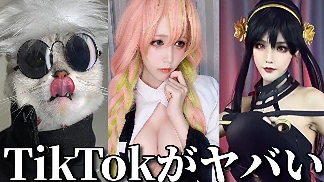 【神回】ネットでバズったTikTokがツッコミどころ満載だったww【アニメ】【鬼滅の刃】【遊郭編】【刀鍛冶の里編】【ワンピース】【呪術廻戦】【東京リベンジャーズ】【スパイファミリー】【エヴァ】【傑作】