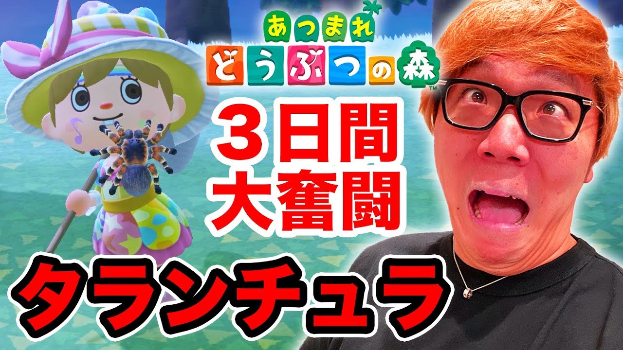 【あつ森】タランチュラ捕獲に3日間かかる男ヒカキンw &マイホームついに完成!