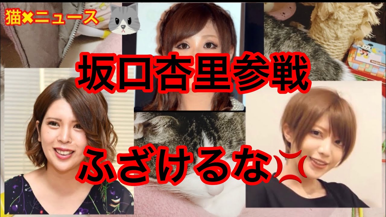 てんちむVSかねこあやに坂口杏里参戦!とんでもない事態に (てんちむ かねこあや 坂口杏里 詐欺 妊娠 コレコレ バーレスク 薬物 話題 炎上 バズり 猫✖︎ニュース) #266