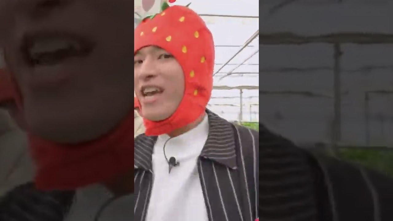 🎼🍓いーちいーちいちごっごー🎶そういえばこの人達アイドルだったw #JO1 #Hi_JO1 #川尻蓮 #佐藤景瑚 #大平祥生 #金城碧海 #豆原一成