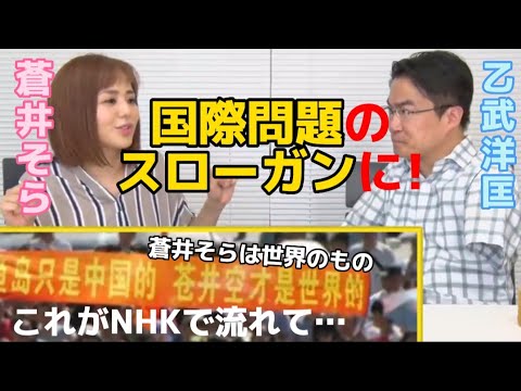 【蒼井そら】国際問題に巻き込まれた【乙武洋匡 切り抜き】