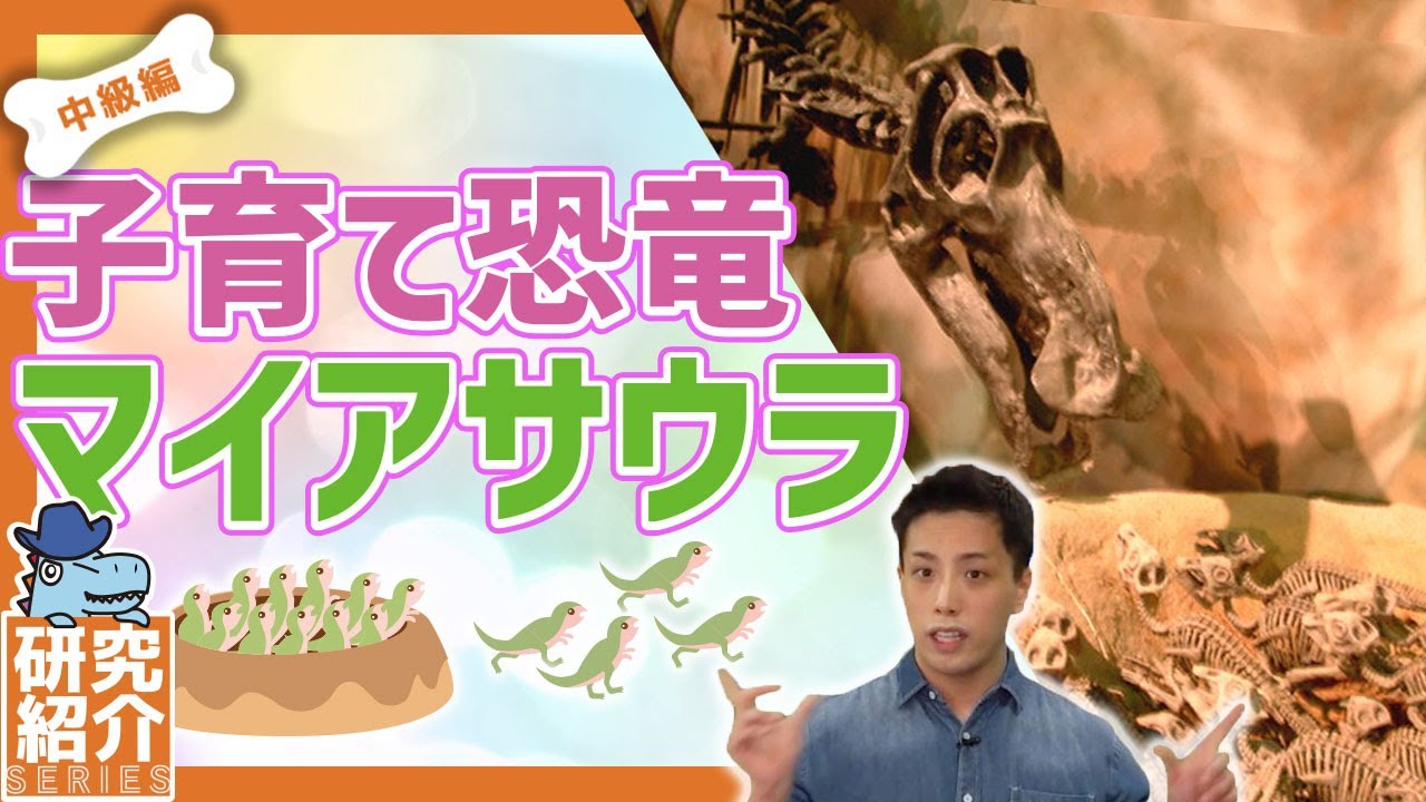マイアサウラが子育て恐竜と呼ばれる理由!|中級|