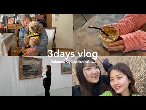 【VLOG集】照れ屋のシニア犬 | 友達と巡る日帰り箱根旅 | 休日の過ごし方 | POLA MUSEUM | 清澄白河巡り
