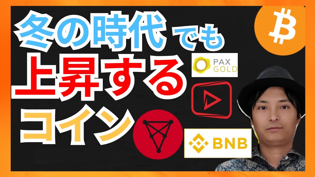 仮想通貨の冬の時代でも、上昇するコイン!+BTC BNB StreamCoin(STRM) PAXG Tron(TRX)