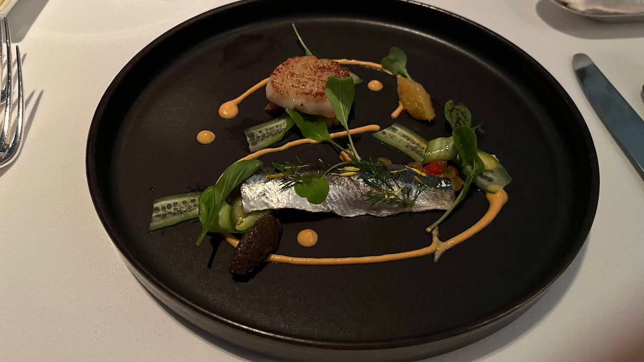 無事退院しました! 病気の経緯と、今後の活動について