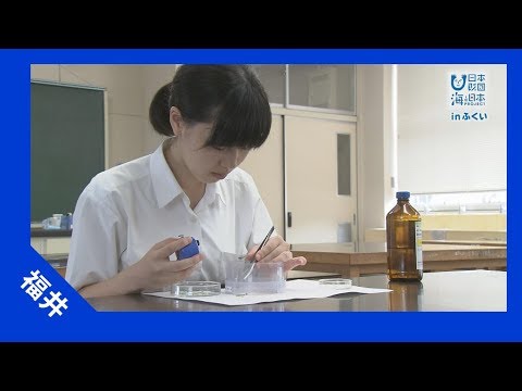 2017年 #24 【海洋危機①】マイクロプラスチック | 海と日本PROJECT in ふくい