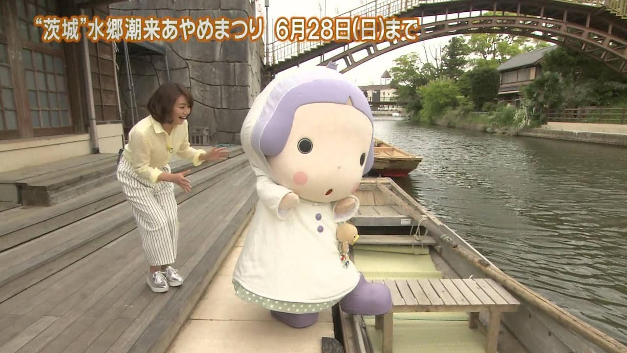 磯山さやかの旬刊!いばらき『水郷潮来あやめまつり』(平成27年6月5日放送)