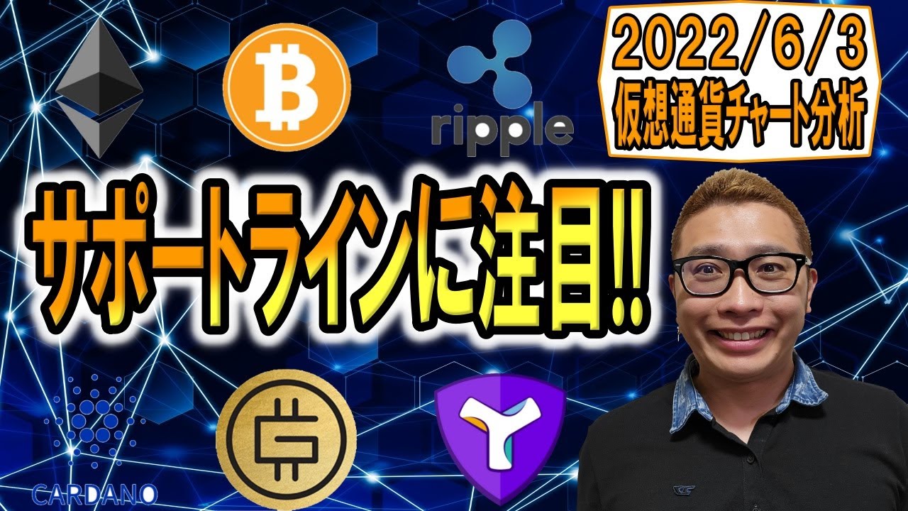 【仮想通貨 ビットコインBTC & アルトコイン 分析】サポートラインに注目👀✨