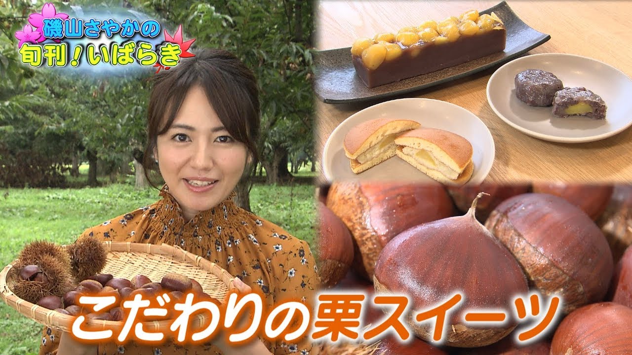磯山さやかの旬刊!いばらき『茨城の栗(平成29年9月29日放送)