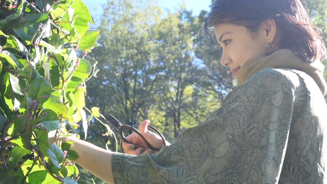 Future in our hands |自然が教えてくれたこと