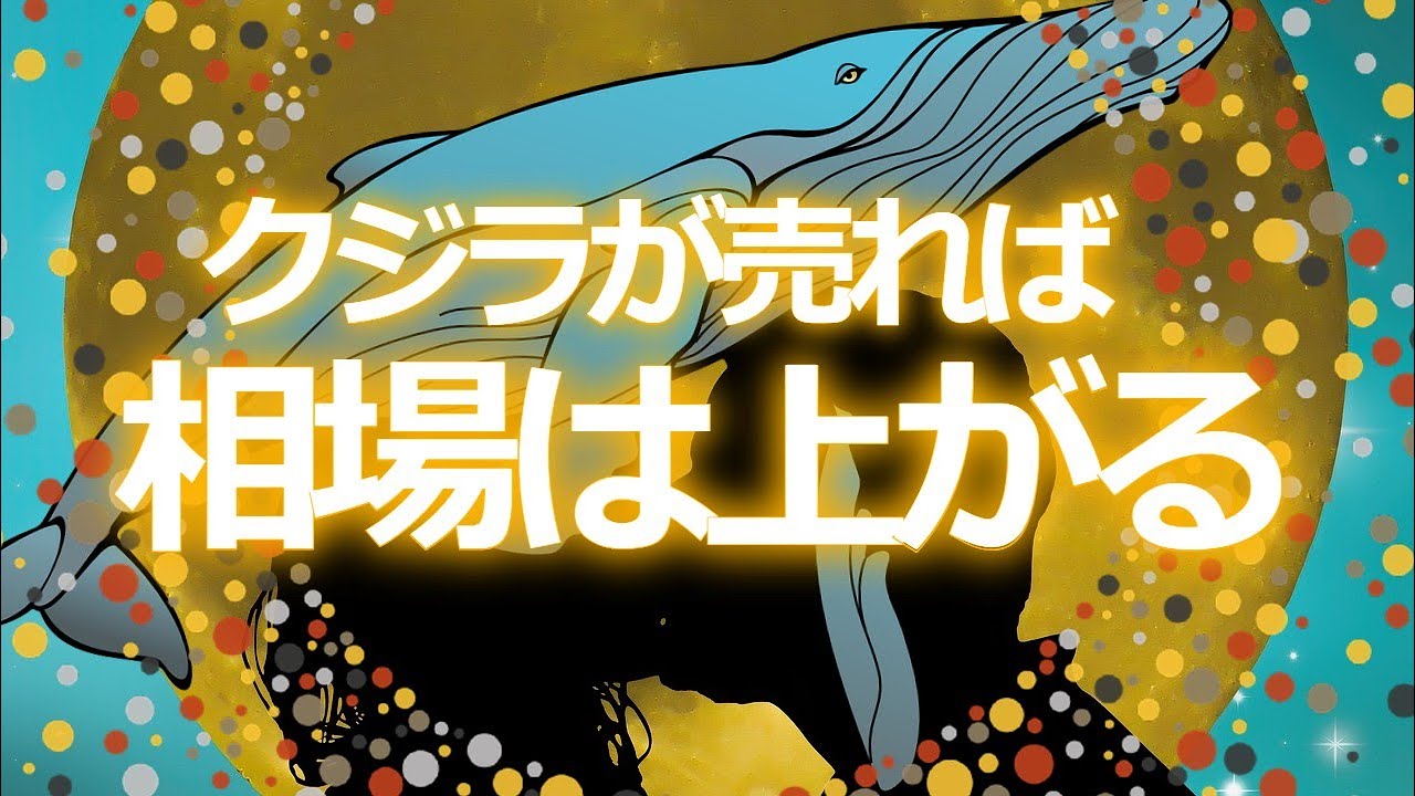クジラが売れば相場は上がる