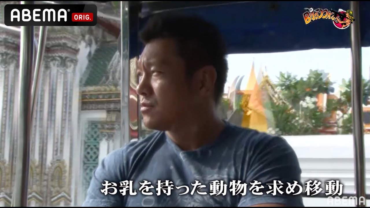 【水牛の乳を吸え】小池栄子の夫が水牛とガチンコ対決!!海外ロケで格闘家魂が覚醒!!│『BAZOOKA!!!』アベマで伝説回を無料公開中!