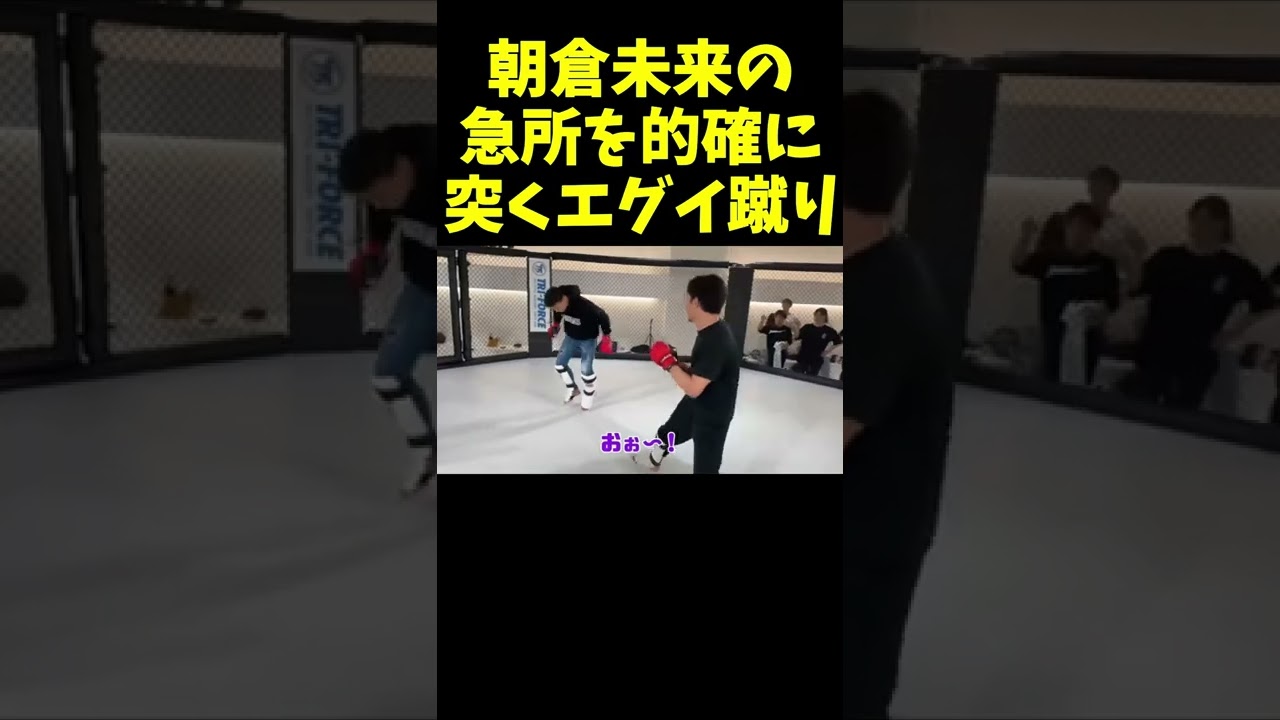 野杁正明にも負けていない朝倉未来のエグい蹴り