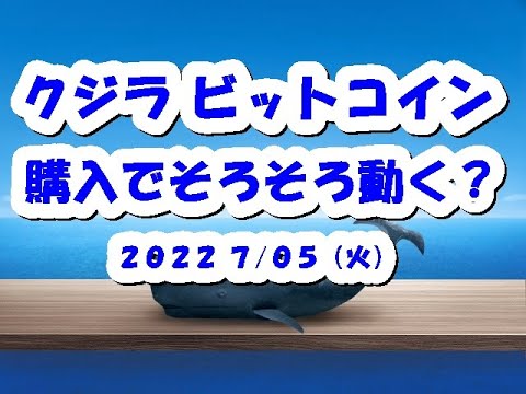 クジラBTCビットコイン購入!そろそろ動く?
