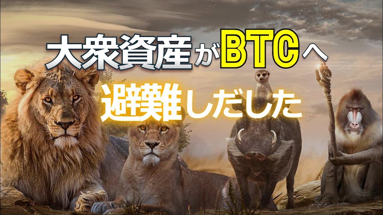大衆資産がビットコインへ避難しだした