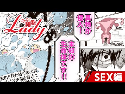 【漫画】“女性”に特化したスピンオフ!『はたらく細胞LADY』SEX編 | English sub【公式】