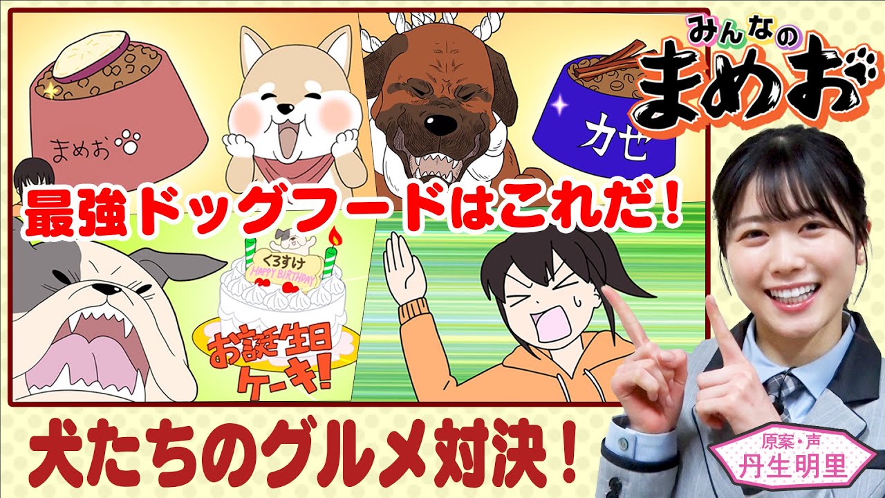 【犬のグルメ対決】声優・日向坂46丹生明里!犬たちのグルメ自慢対決!まみの愛情が明かに!?【”みんなのまめお” 全話フル公開Part10】