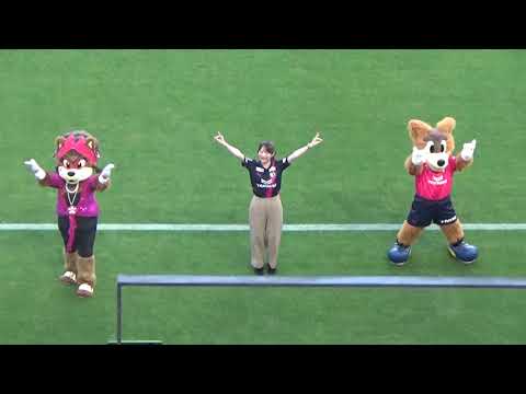 キツネダンス 池田愛恵里さんとロビーナ&ロビー