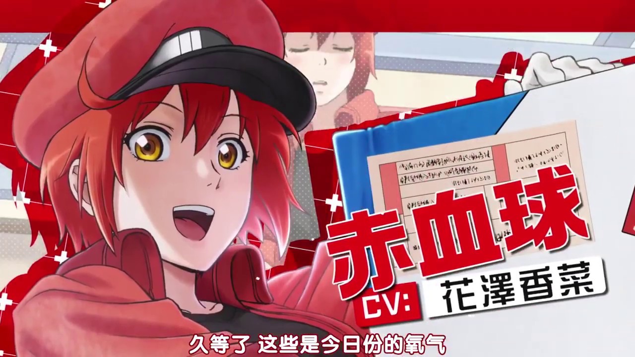 【TV動畫】工作細胞 第2期 制作決定PV