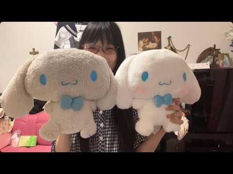 ぬいぐるみの汚れ観察 シナモロール シナモン