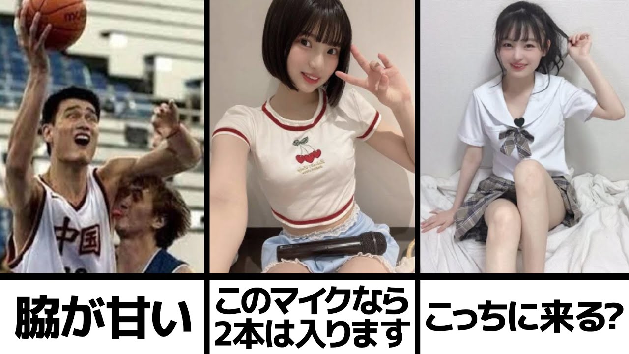 【超衝撃】殿堂入りボケての面白画像で笑ったら即引退【ツッコミ】【総集編219】