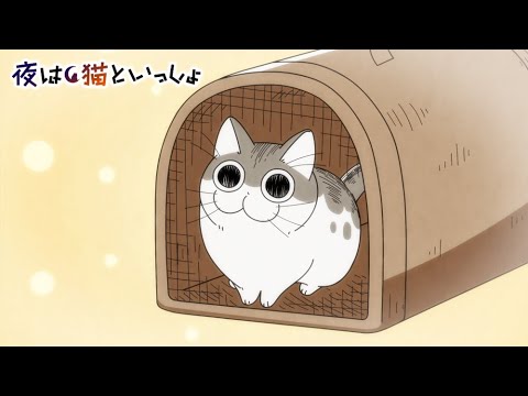 アニメ『夜は猫といっしょ』 第1夜 「ネコが家に来た日」