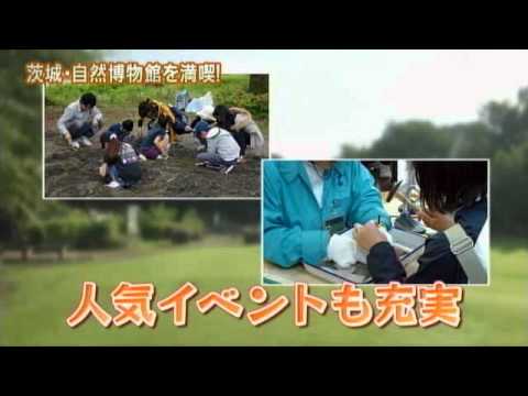 磯山さやかの旬刊!いばらき『自然博物館』(ダイジェスト版)